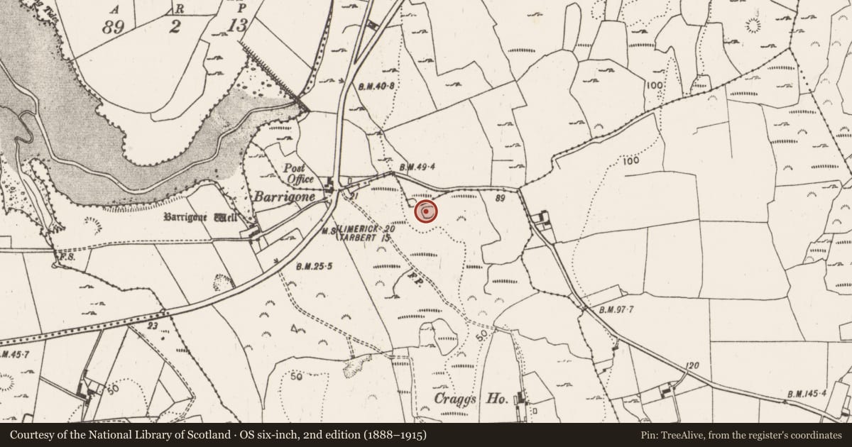 Ordnance Survey six-inch map, 2nd edition (1888–1915) covering the location of Ringfort - cashel, Craggs, County Limerick, with a pin at the register's coordinates