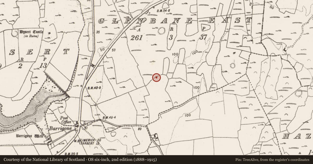 Ordnance Survey six-inch map, 2nd edition (1888–1915) covering the location of Ringfort - rath, Glenbane East, County Limerick, with a pin at the register's coordinates