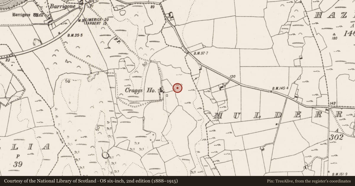 Ordnance Survey six-inch map, 2nd edition (1888–1915) covering the location of Ringfort - rath, Craggs, County Limerick, with a pin at the register's coordinates