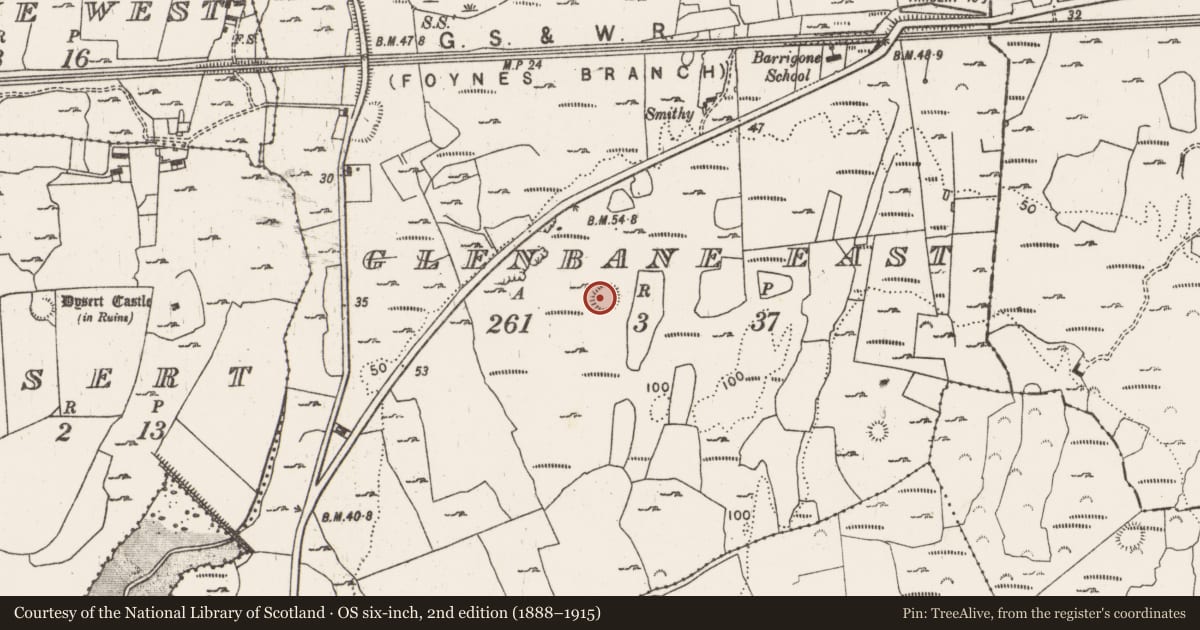 Ordnance Survey six-inch map, 2nd edition (1888–1915) covering the location of Ringfort - rath, Glenbane East, County Limerick, with a pin at the register's coordinates