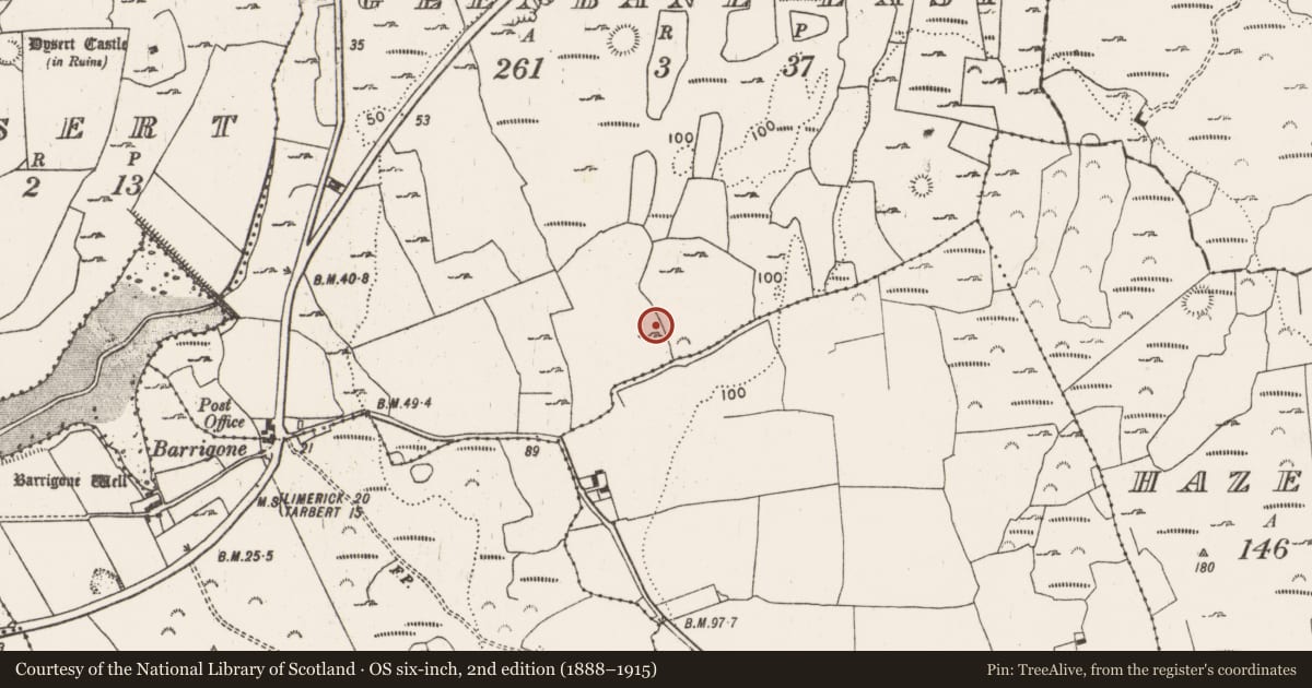 Ordnance Survey six-inch map, 2nd edition (1888–1915) covering the location of Ringfort - rath, Glenbane East, County Limerick, with a pin at the register's coordinates