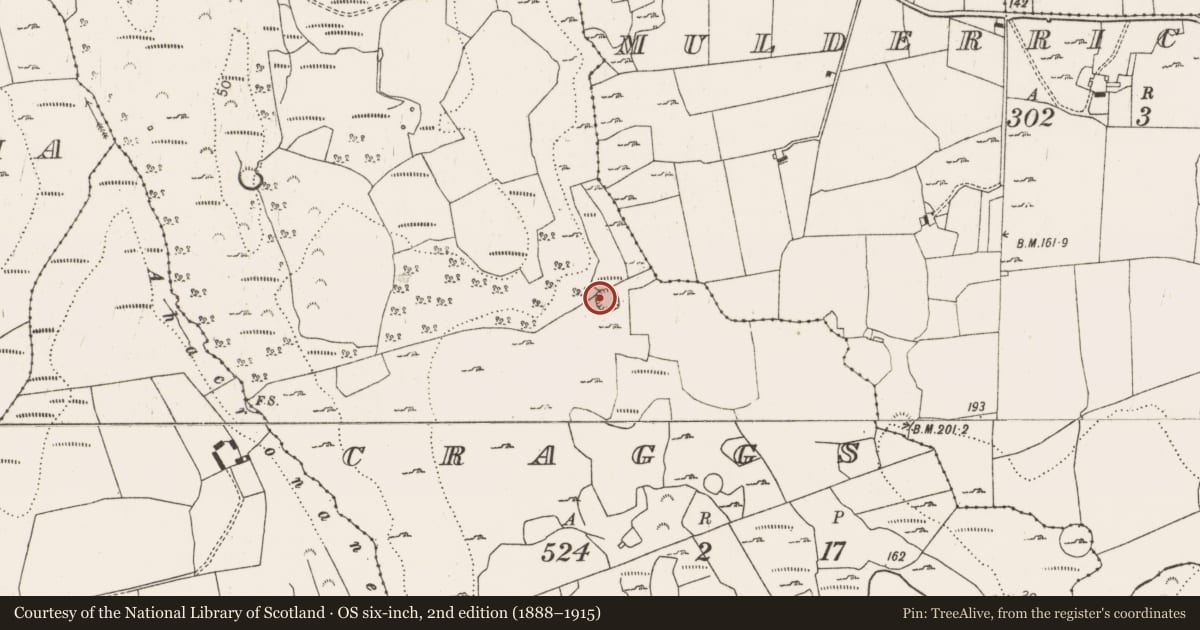 Ordnance Survey six-inch map, 2nd edition (1888–1915) covering the location of Enclosure, Craggs, County Limerick, with a pin at the register's coordinates