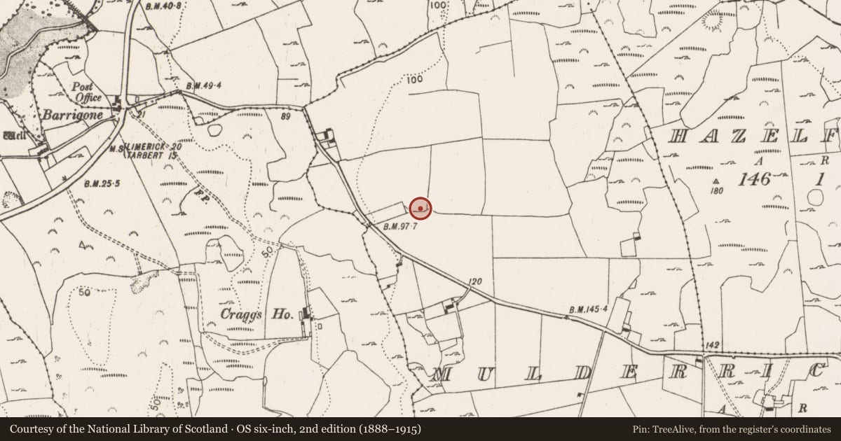 Ordnance Survey six-inch map, 2nd edition (1888–1915) covering the location of Enclosure, Mulderricksfield, County Limerick, with a pin at the register's coordinates