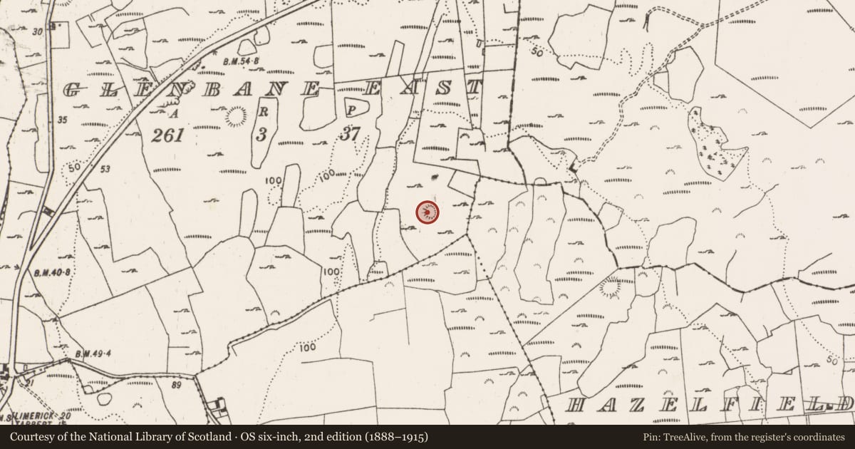Ordnance Survey six-inch map, 2nd edition (1888–1915) covering the location of Ringfort - rath, Glenbane East, County Limerick, with a pin at the register's coordinates