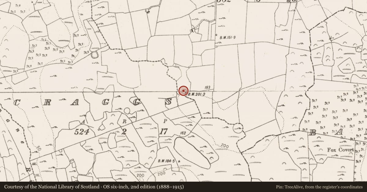 Ordnance Survey six-inch map, 2nd edition (1888–1915) covering the location of Ringfort - cashel, Mulderricksfield, County Limerick, with a pin at the register's coordinates