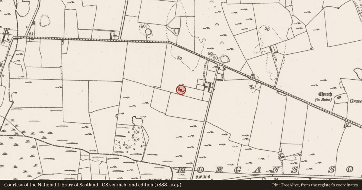 Ordnance Survey six-inch map, 2nd edition (1888–1915) covering the location of Enclosure, Morgans South, County Limerick, with a pin at the register's coordinates