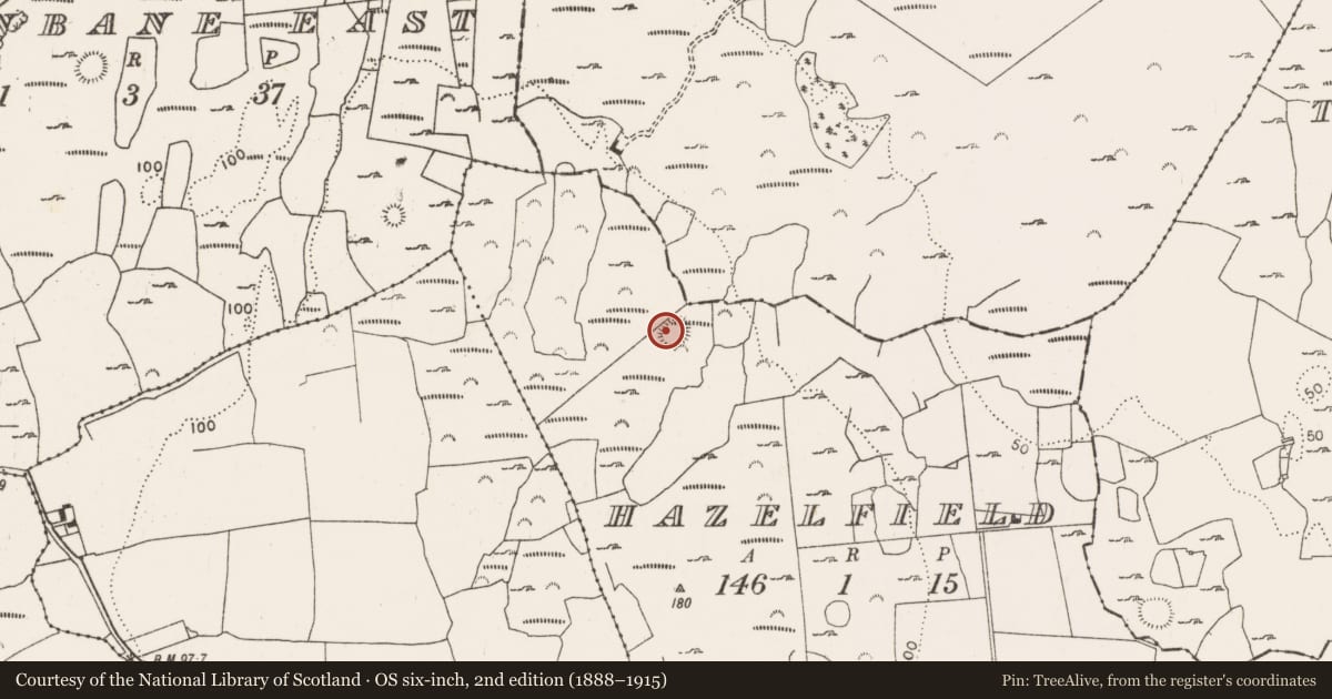Ordnance Survey six-inch map, 2nd edition (1888–1915) covering the location of Ringfort - cashel, Hazelfield, County Limerick, with a pin at the register's coordinates