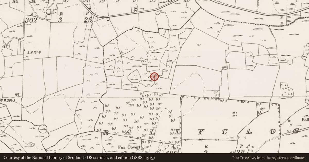 Ordnance Survey six-inch map, 2nd edition (1888–1915) covering the location of Ringfort - rath, Ballyclogh, County Limerick, with a pin at the register's coordinates