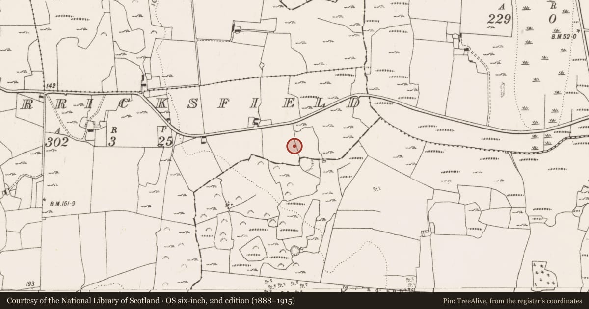 Ordnance Survey six-inch map, 2nd edition (1888–1915) covering the location of Ringfort - rath, Mulderricksfield, County Limerick, with a pin at the register's coordinates