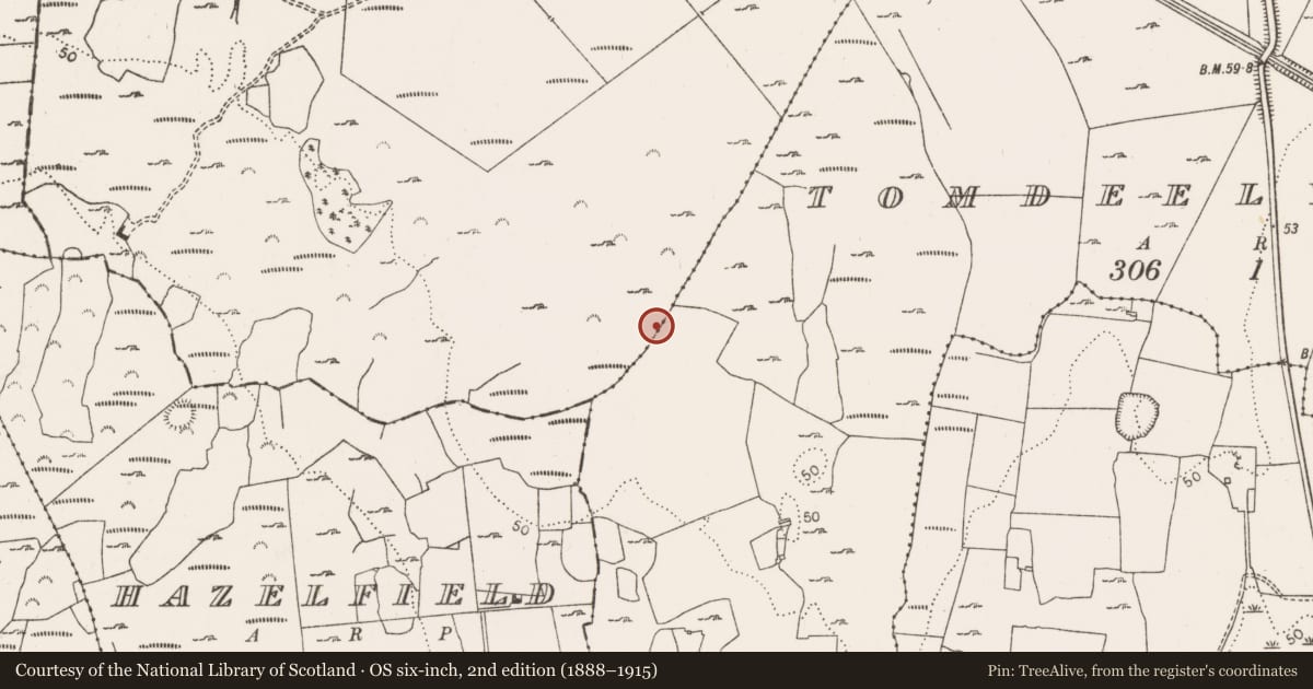 Ordnance Survey six-inch map, 2nd edition (1888–1915) covering the location of Ringfort - cashel, Morgans South, County Limerick, with a pin at the register's coordinates