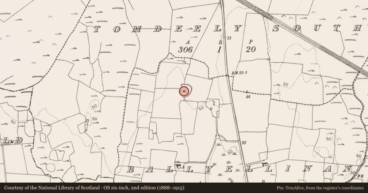 Ordnance Survey six-inch map, 2nd edition (1888–1915) covering the location of Enclosure, Ballyellinan, County Limerick, with a pin at the register's coordinates