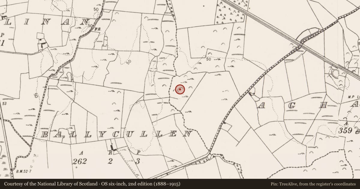 Ordnance Survey six-inch map, 2nd edition (1888–1915) covering the location of Enclosure, Cloonreask, County Limerick, with a pin at the register's coordinates
