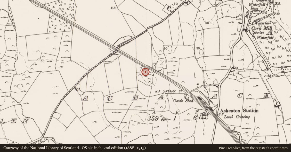 Ordnance Survey six-inch map, 2nd edition (1888–1915) covering the location of Ringfort - rath, Aghalacka, County Limerick, with a pin at the register's coordinates
