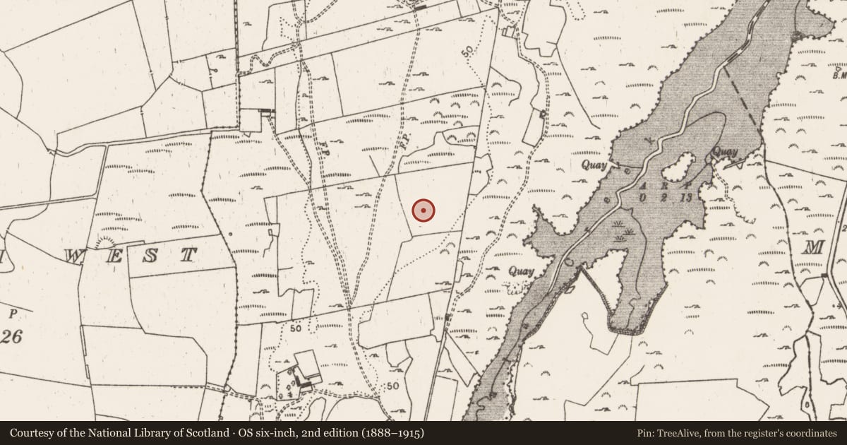 Ordnance Survey six-inch map, 2nd edition (1888–1915) covering the location of Enclosure, Aughinish East, County Limerick, with a pin at the register's coordinates