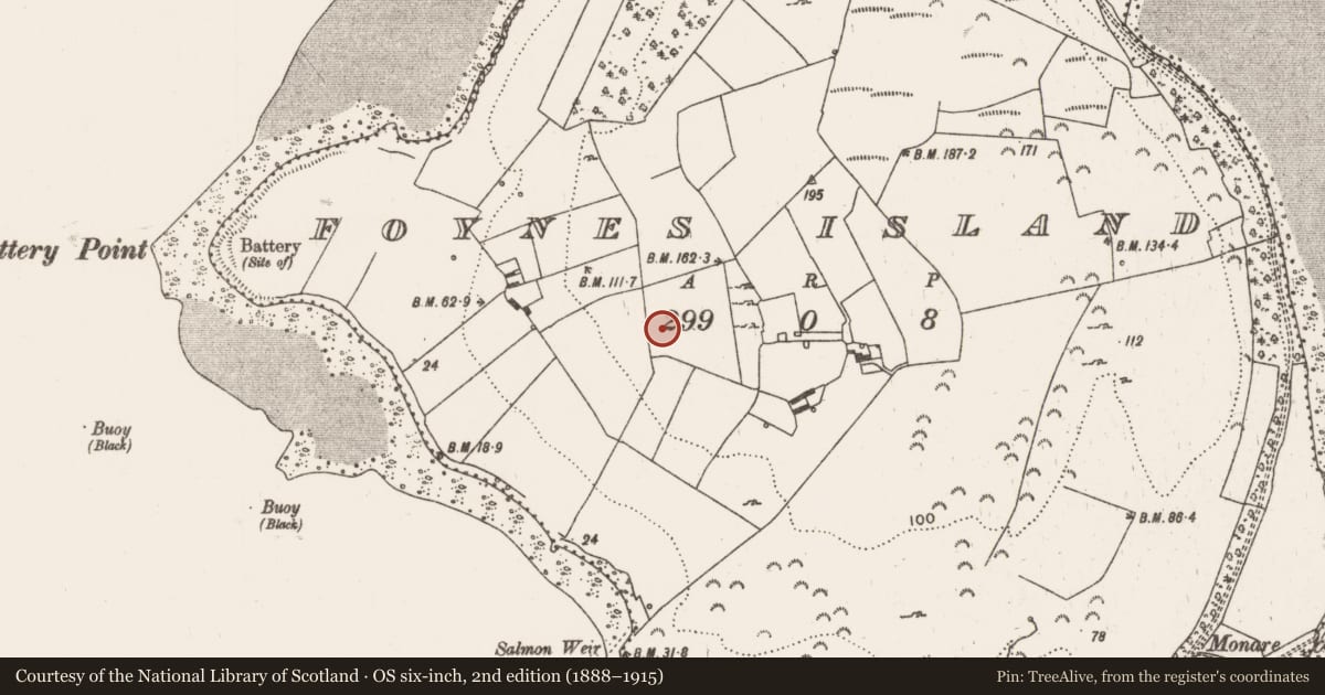 Ordnance Survey six-inch map, 2nd edition (1888–1915) covering the location of Fulacht fia, Foynes Island, County Limerick, with a pin at the register's coordinates