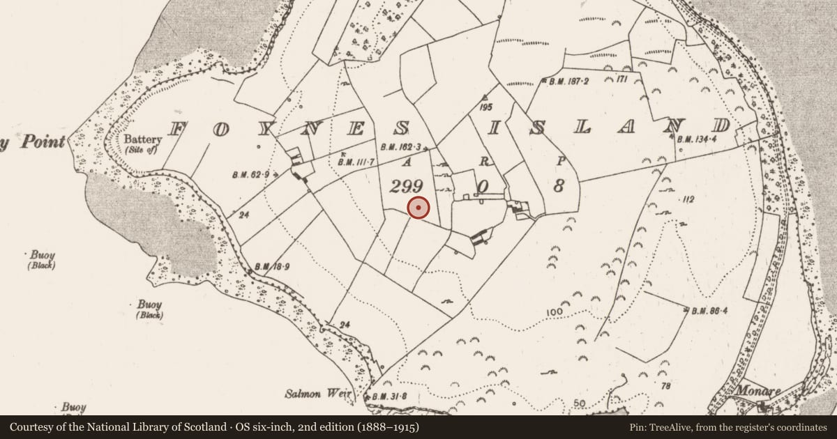 Ordnance Survey six-inch map, 2nd edition (1888–1915) covering the location of Fulacht fia, Foynes Island, County Limerick, with a pin at the register's coordinates