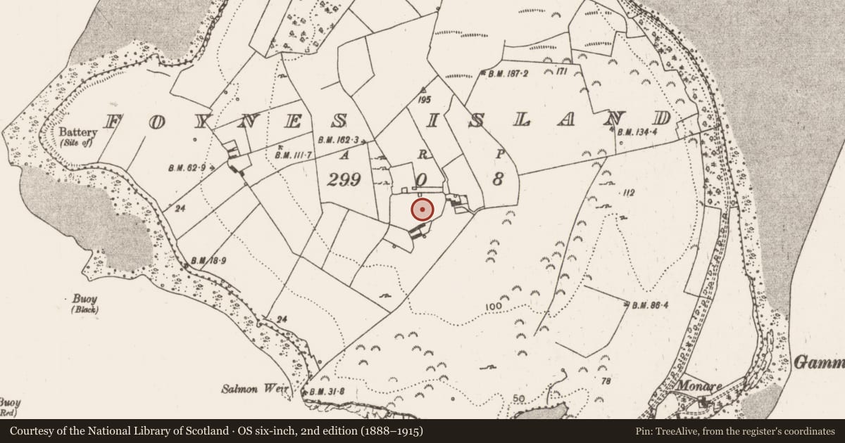 Ordnance Survey six-inch map, 2nd edition (1888–1915) covering the location of Fulacht fia, Foynes Island, County Limerick, with a pin at the register's coordinates