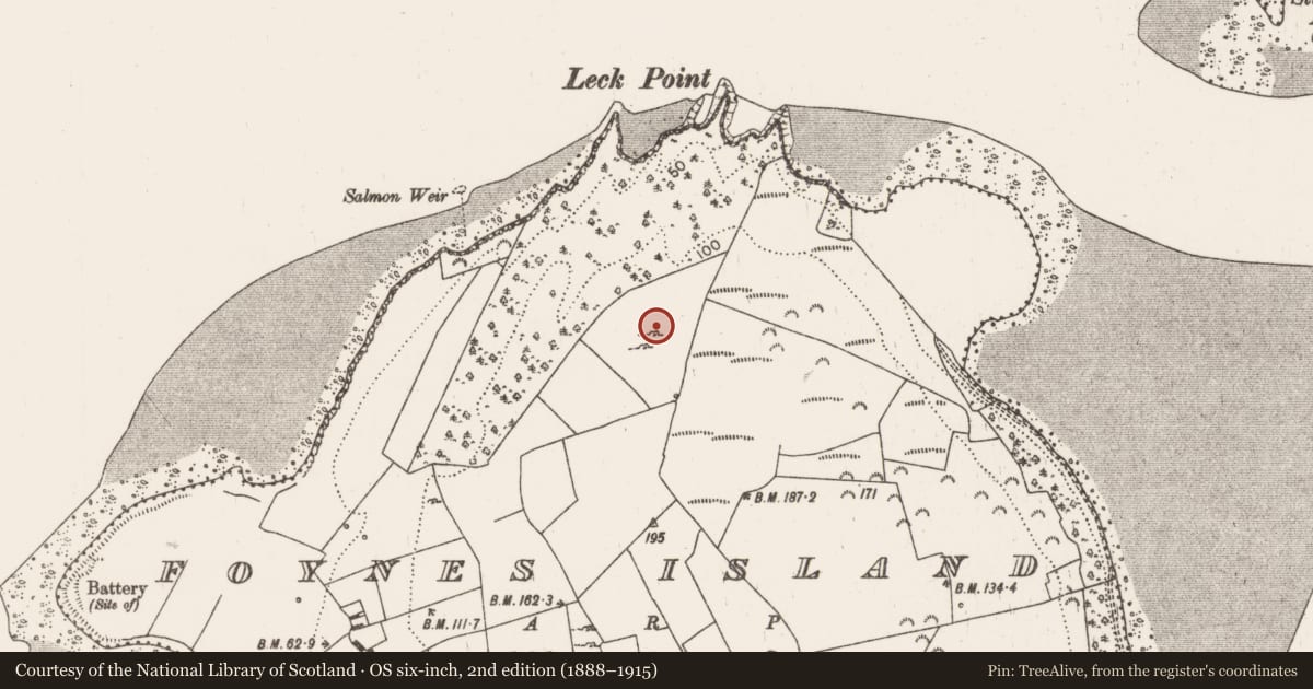 Ordnance Survey six-inch map, 2nd edition (1888–1915) covering the location of Fulacht fia, Foynes Island, County Limerick, with a pin at the register's coordinates