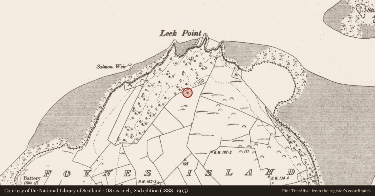 Ordnance Survey six-inch map, 2nd edition (1888–1915) covering the location of Fulacht fia, Foynes Island, County Limerick, with a pin at the register's coordinates