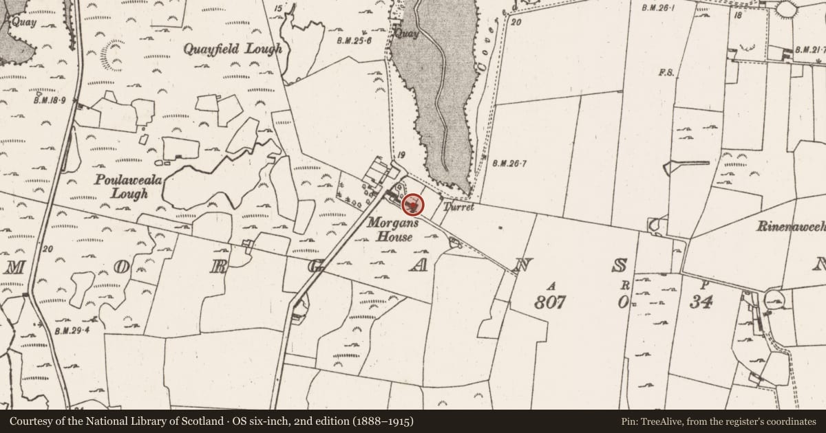 Ordnance Survey six-inch map, 2nd edition (1888–1915) covering the location of House - 17th century, Morgans North, County Limerick, with a pin at the register's coordinates