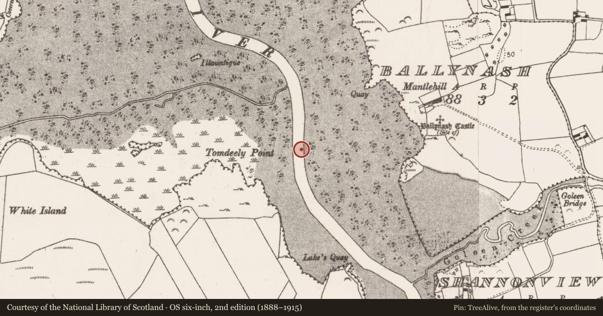 Ordnance Survey six-inch map, 2nd edition (1888–1915) covering the location of Weir - fish, Ballynash, County Limerick, with a pin at the register's coordinates