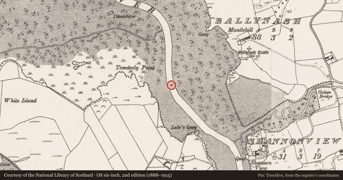 Ordnance Survey six-inch map, 2nd edition (1888–1915) covering the location of Weir - fish, Ballynash, County Limerick, with a pin at the register's coordinates
