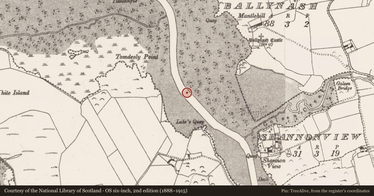 Ordnance Survey six-inch map, 2nd edition (1888–1915) covering the location of Weir - fish, Ballynash, County Limerick, with a pin at the register's coordinates