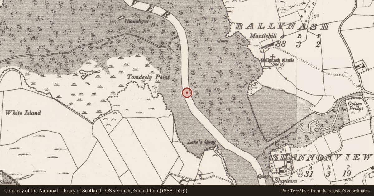 Ordnance Survey six-inch map, 2nd edition (1888–1915) covering the location of Weir - fish, Ballynash, County Limerick, with a pin at the register's coordinates