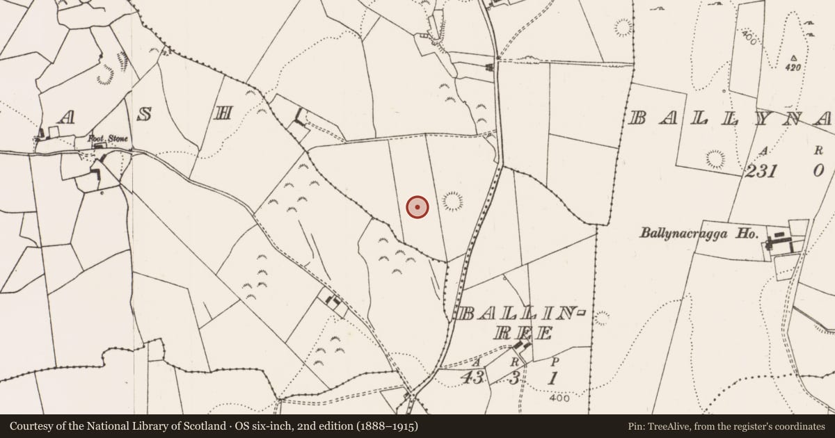 Ordnance Survey six-inch map, 2nd edition (1888–1915) covering the location of Enclosure, Leahys, County Limerick, with a pin at the register's coordinates