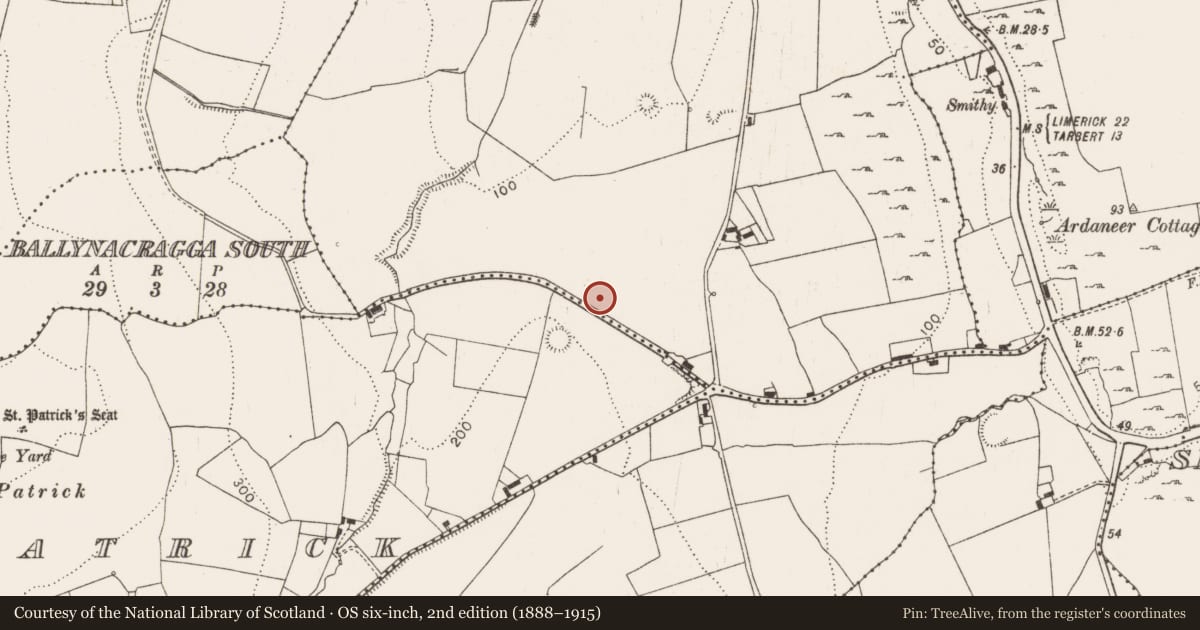 Ordnance Survey six-inch map, 2nd edition (1888–1915) covering the location of Standing stone, Corgrig, County Limerick, with a pin at the register's coordinates