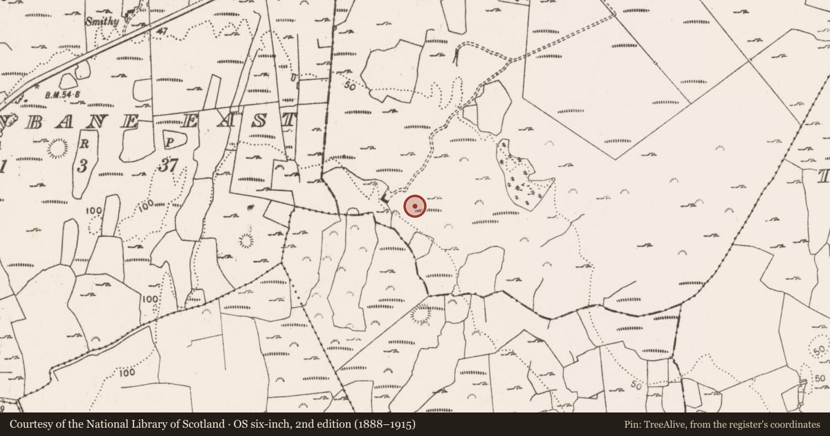 Ordnance Survey six-inch map, 2nd edition (1888–1915) covering the location of Ringfort - rath, Morgans South, County Limerick, with a pin at the register's coordinates