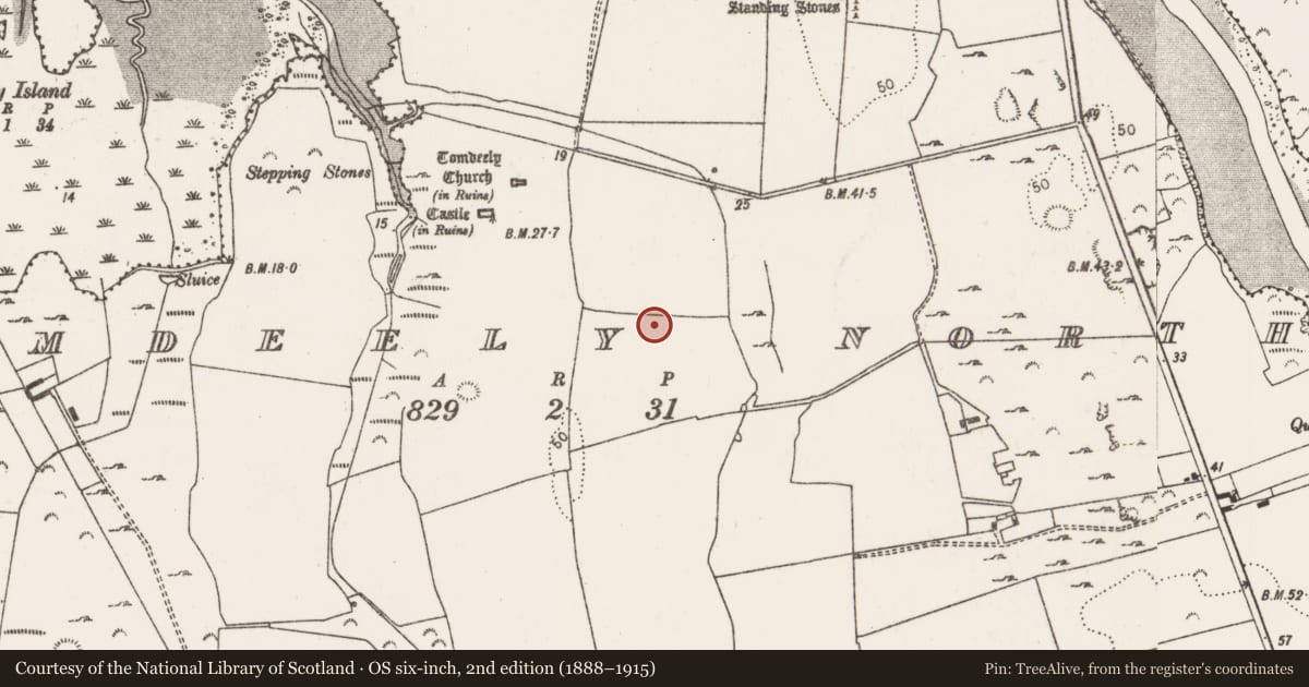 Ordnance Survey six-inch map, 2nd edition (1888–1915) covering the location of Cairn - burial cairn, Tomdeely North, County Limerick, with a pin at the register's coordinates