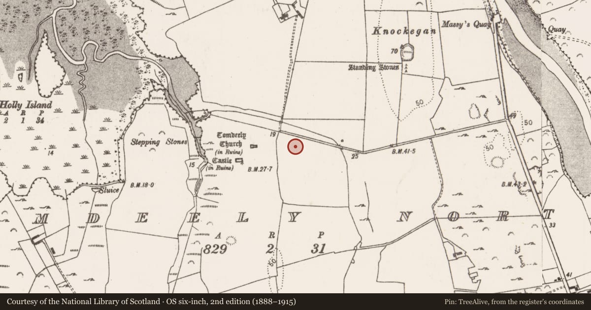 Ordnance Survey six-inch map, 2nd edition (1888–1915) covering the location of Megalithic structure, Tomdeely North, County Limerick, with a pin at the register's coordinates