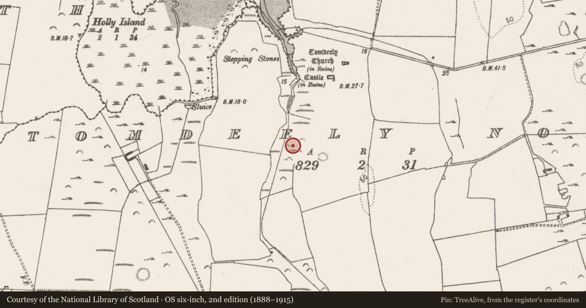 Ordnance Survey six-inch map, 2nd edition (1888–1915) covering the location of Fulacht fia, Tomdeely North, County Limerick, with a pin at the register's coordinates