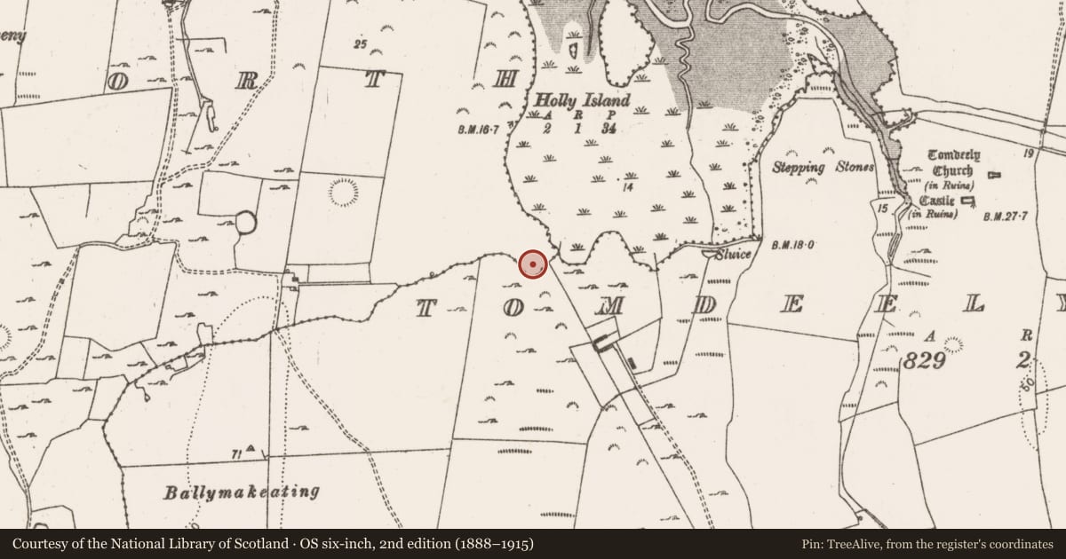 Ordnance Survey six-inch map, 2nd edition (1888–1915) covering the location of Enclosure, Morgans North, County Limerick, with a pin at the register's coordinates