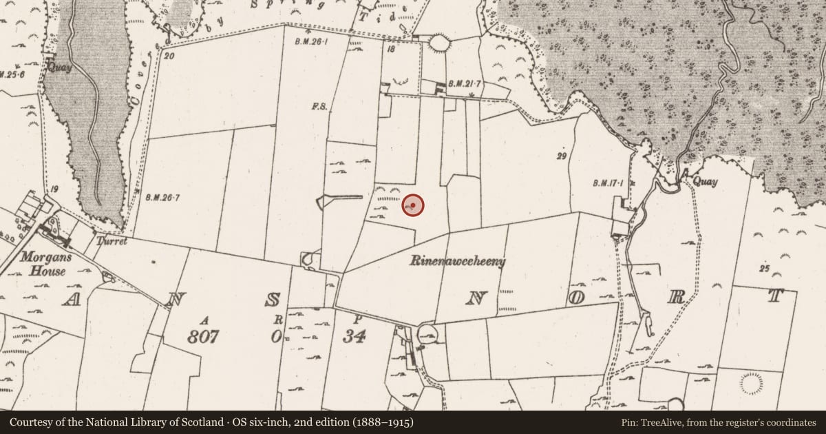Ordnance Survey six-inch map, 2nd edition (1888–1915) covering the location of Cairn - unclassified, Morgans North, County Limerick, with a pin at the register's coordinates