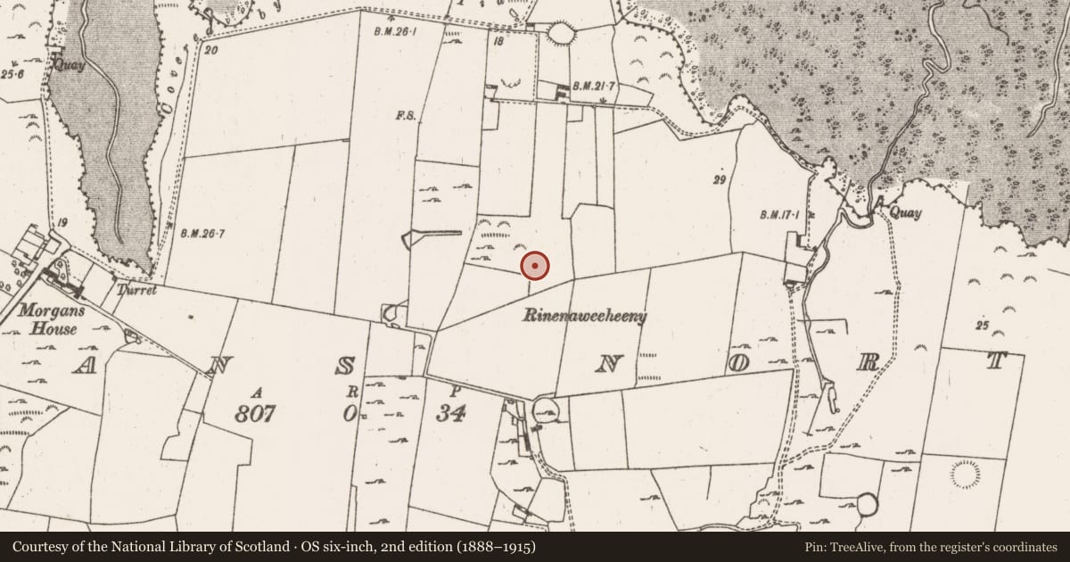 Ordnance Survey six-inch map, 2nd edition (1888–1915) covering the location of Cairn - unclassified, Morgans North, County Limerick, with a pin at the register's coordinates