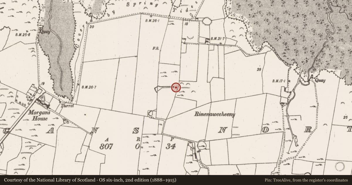 Ordnance Survey six-inch map, 2nd edition (1888–1915) covering the location of Fulacht fia, Morgans North, County Limerick, with a pin at the register's coordinates
