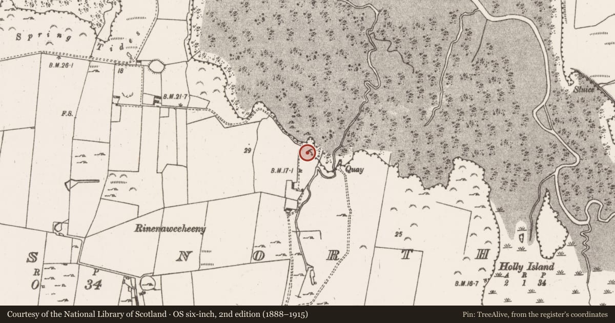 Ordnance Survey six-inch map, 2nd edition (1888–1915) covering the location of Mound, Morgans North, County Limerick, with a pin at the register's coordinates