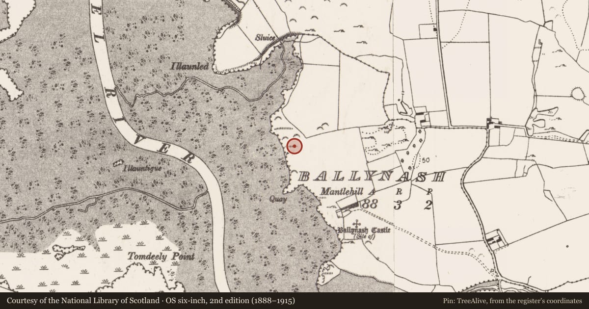 Ordnance Survey six-inch map, 2nd edition (1888–1915) covering the location of Designed landscape - tree-ring, Ballynash, County Limerick, with a pin at the register's coordinates