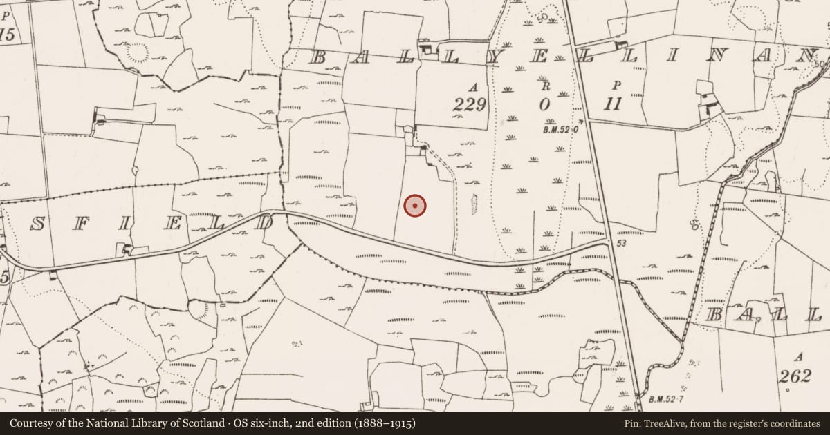 Ordnance Survey six-inch map, 2nd edition (1888–1915) covering the location of Pit, Ballyellinan, County Limerick, with a pin at the register's coordinates