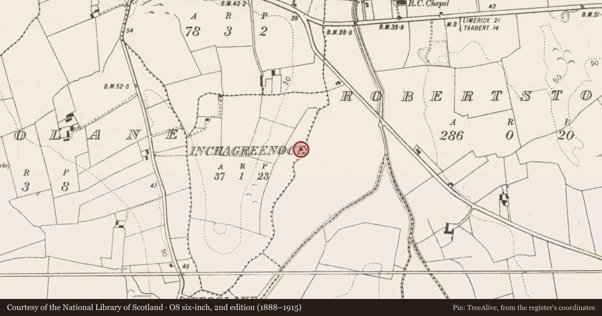 Ordnance Survey six-inch map, 2nd edition (1888–1915) covering the location of Excavation - miscellaneous, Inchagreenoge, County Limerick, with a pin at the register's coordinates