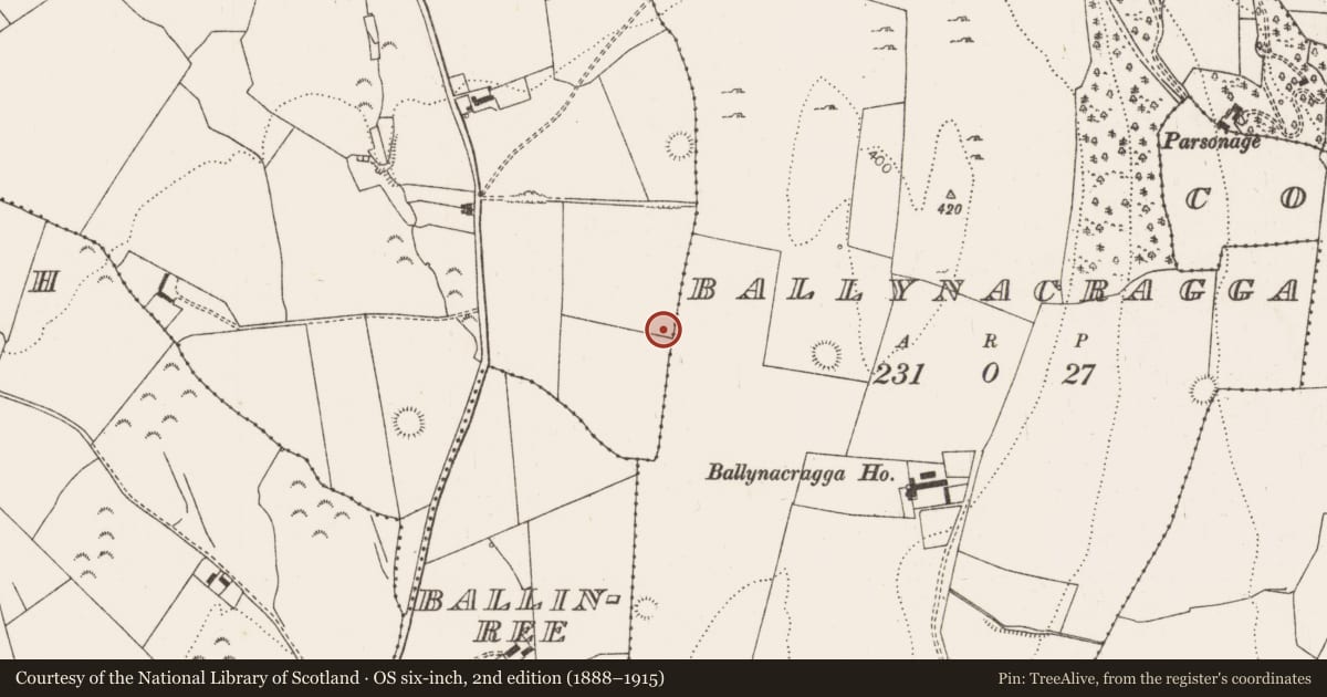 Ordnance Survey six-inch map, 2nd edition (1888–1915) covering the location of Burnt mound, Leahys, County Limerick, with a pin at the register's coordinates