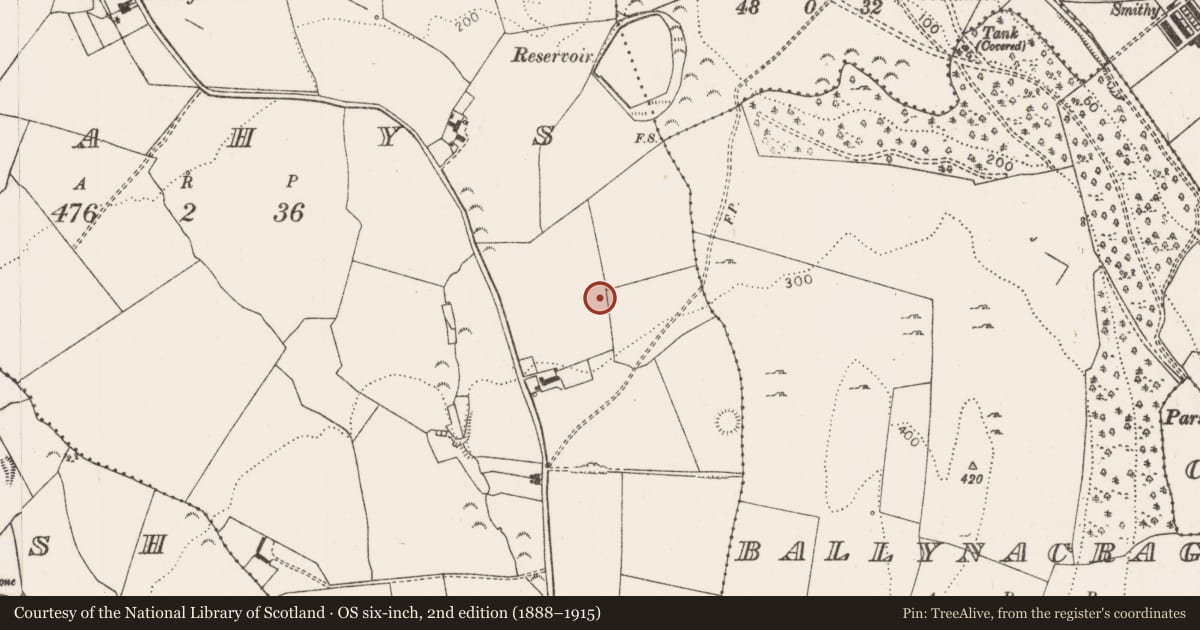 Ordnance Survey six-inch map, 2nd edition (1888–1915) covering the location of Fulacht fia, Leahys, County Limerick, with a pin at the register's coordinates