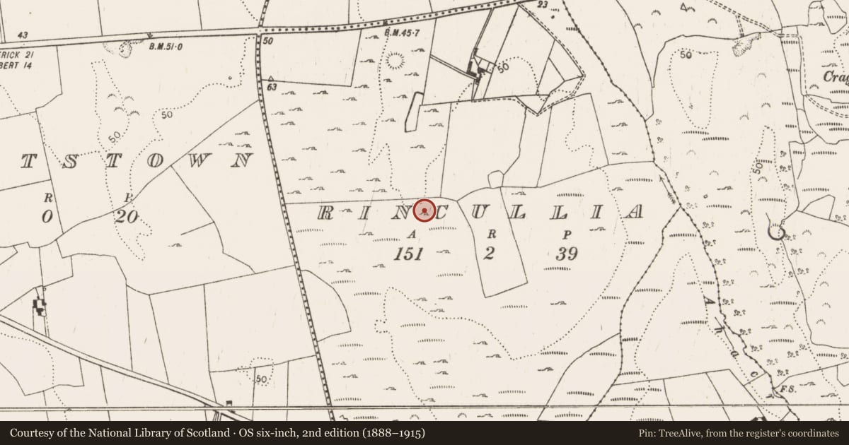 Ordnance Survey six-inch map, 2nd edition (1888–1915) covering the location of Excavation - miscellaneous, Rincullia, County Limerick, with a pin at the register's coordinates