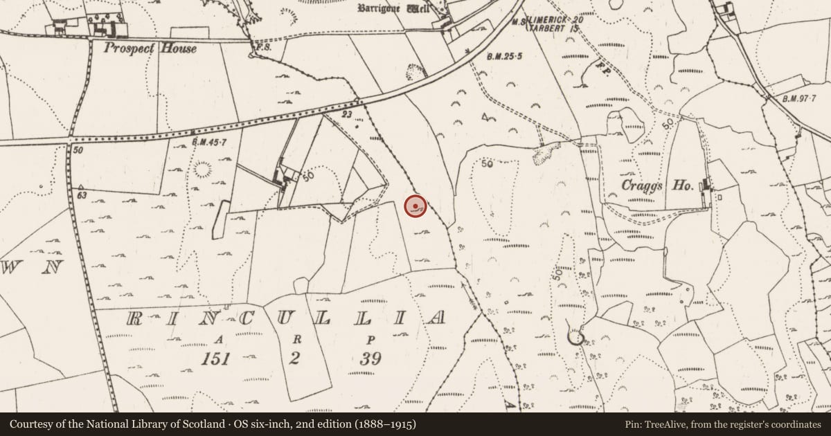 Ordnance Survey six-inch map, 2nd edition (1888–1915) covering the location of Burnt mound, Rincullia, County Limerick, with a pin at the register's coordinates