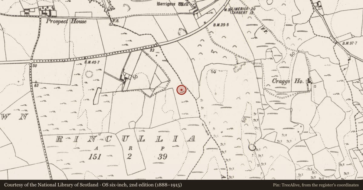 Ordnance Survey six-inch map, 2nd edition (1888–1915) covering the location of Road - gravel/stone trackway - peatland, Rincullia, County Limerick, with a pin at the register's coordinates