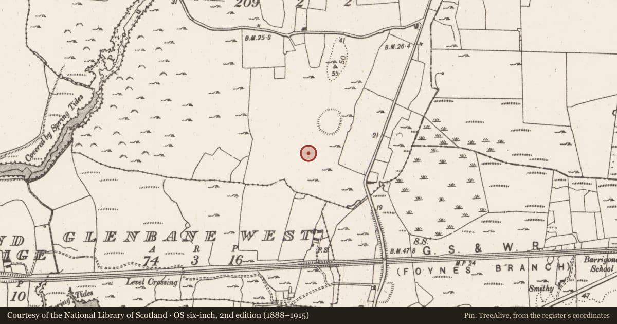 Ordnance Survey six-inch map, 2nd edition (1888–1915) covering the location of Pit-burial, Fawnamore, County Limerick, with a pin at the register's coordinates