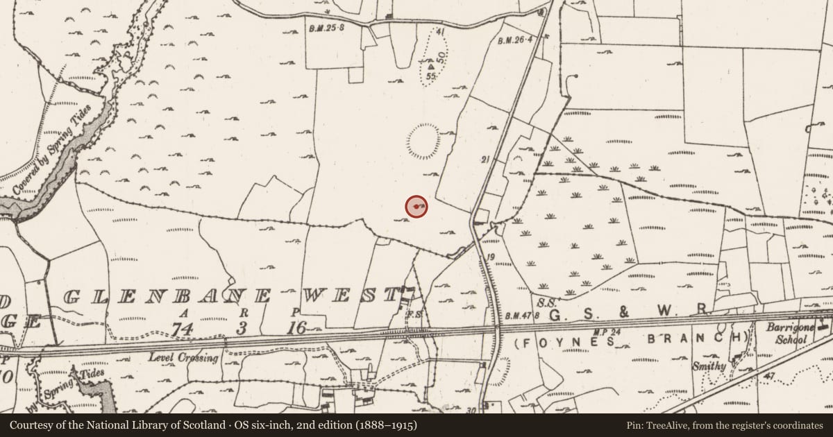 Ordnance Survey six-inch map, 2nd edition (1888–1915) covering the location of Hearth, Fawnamore, County Limerick, with a pin at the register's coordinates