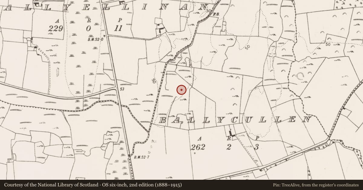 Ordnance Survey six-inch map, 2nd edition (1888–1915) covering the location of Fulacht fia, Ballycullen, County Limerick, with a pin at the register's coordinates